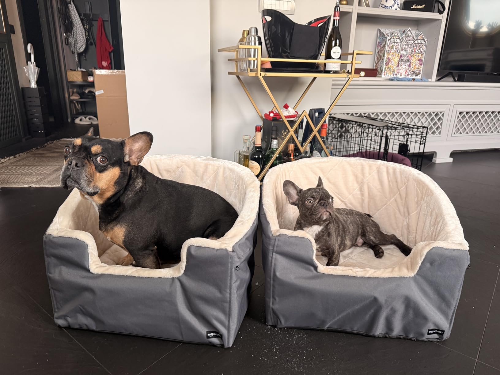 Amazon Basics Seggiolino Auto per Cani beige piccolo