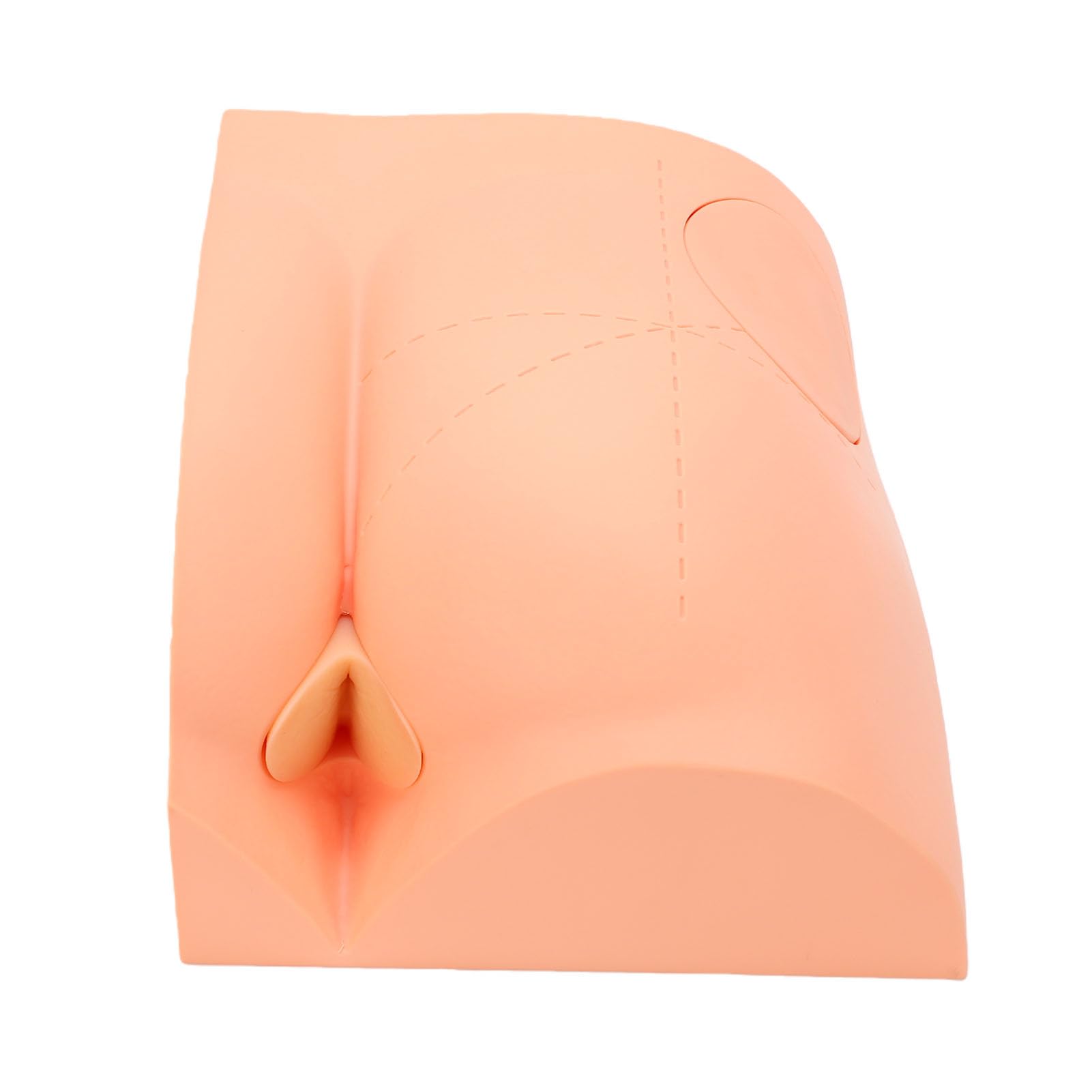 Elprico Modello Iniezione Intramuscolare Gluteo in PP