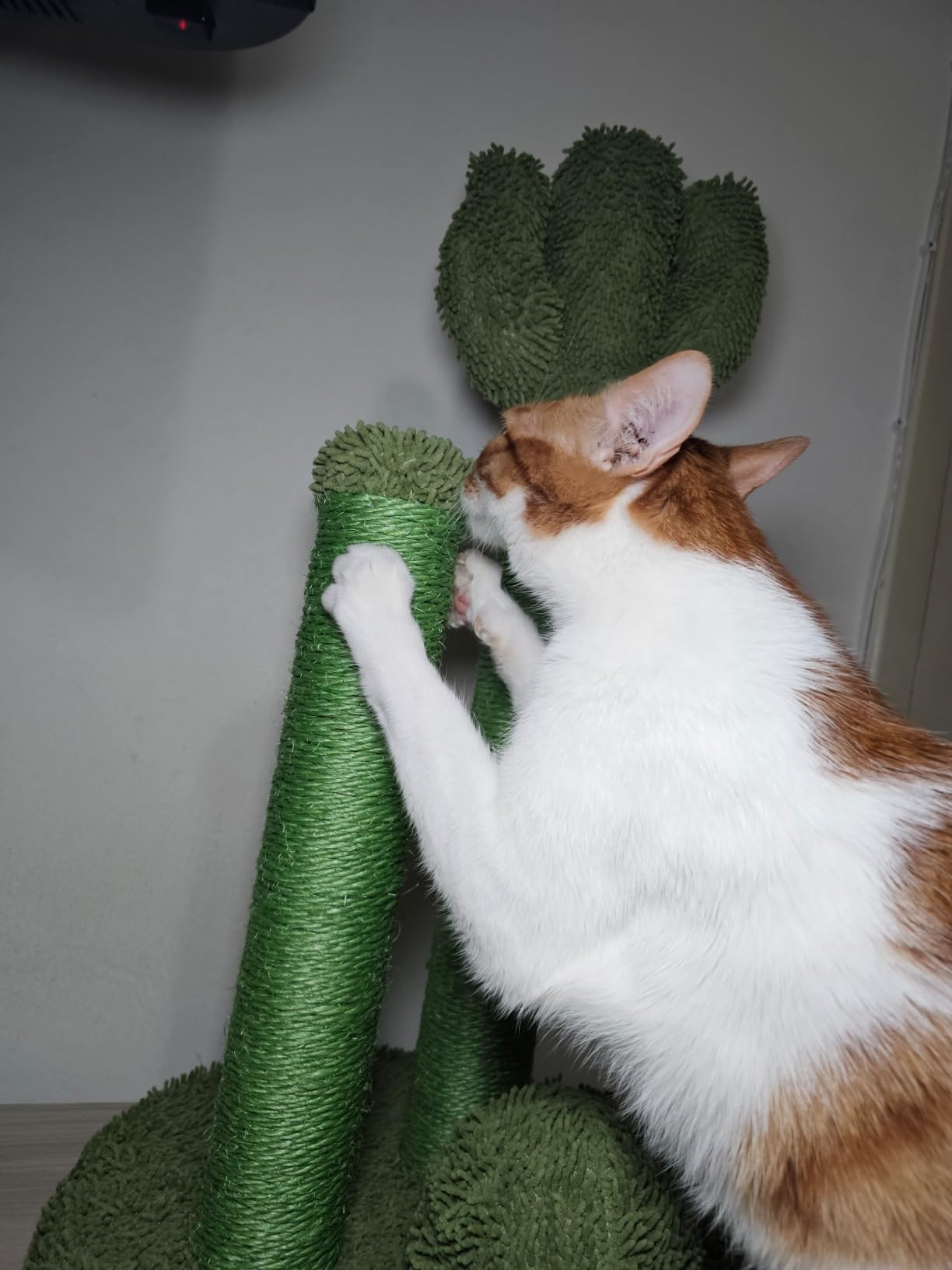 Amazon Basics Tiragraffi Cactus Grande 68 cm Verde Sisal