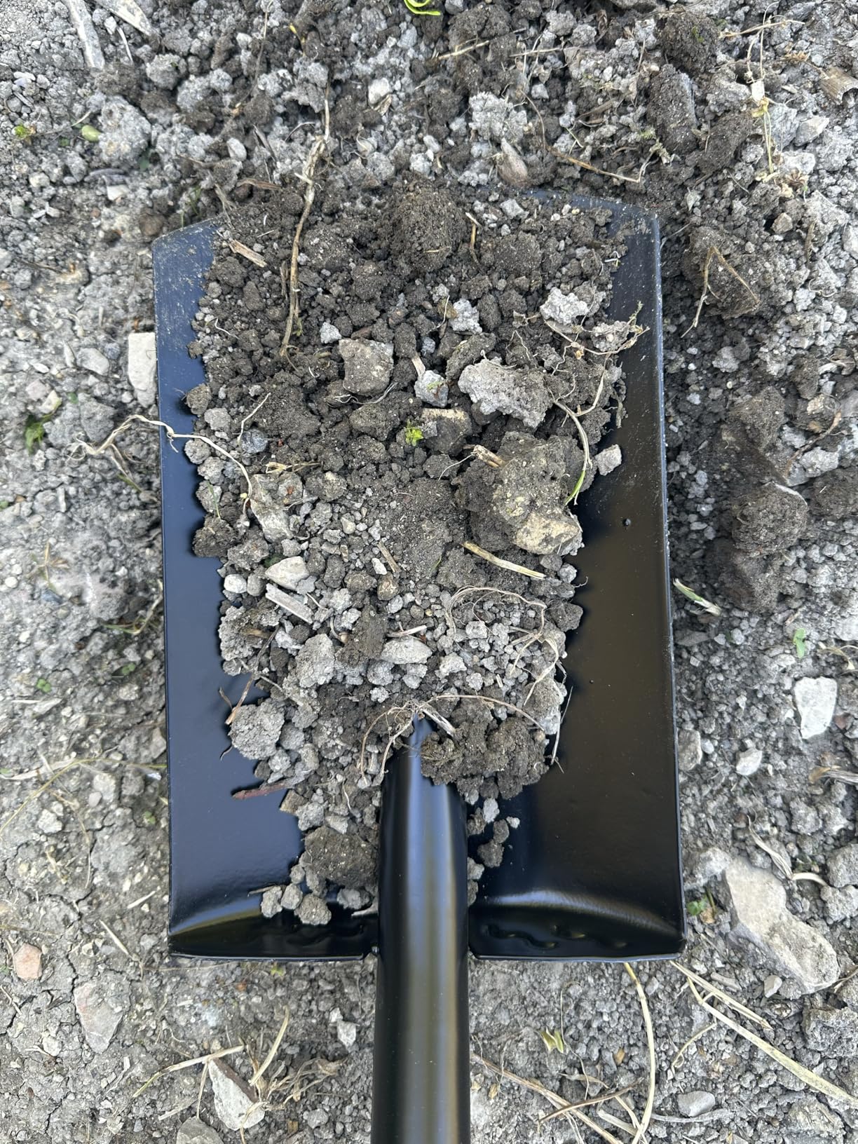 Amazon Basics pala da giardinaggio piatta 47 pollici acciaio nera