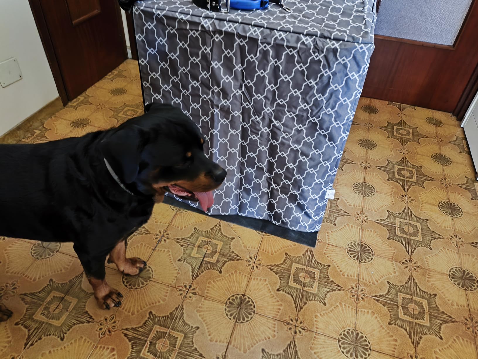 Amazon Basics Copertura Gabbia Cani 122 cm Motivo Poliestere