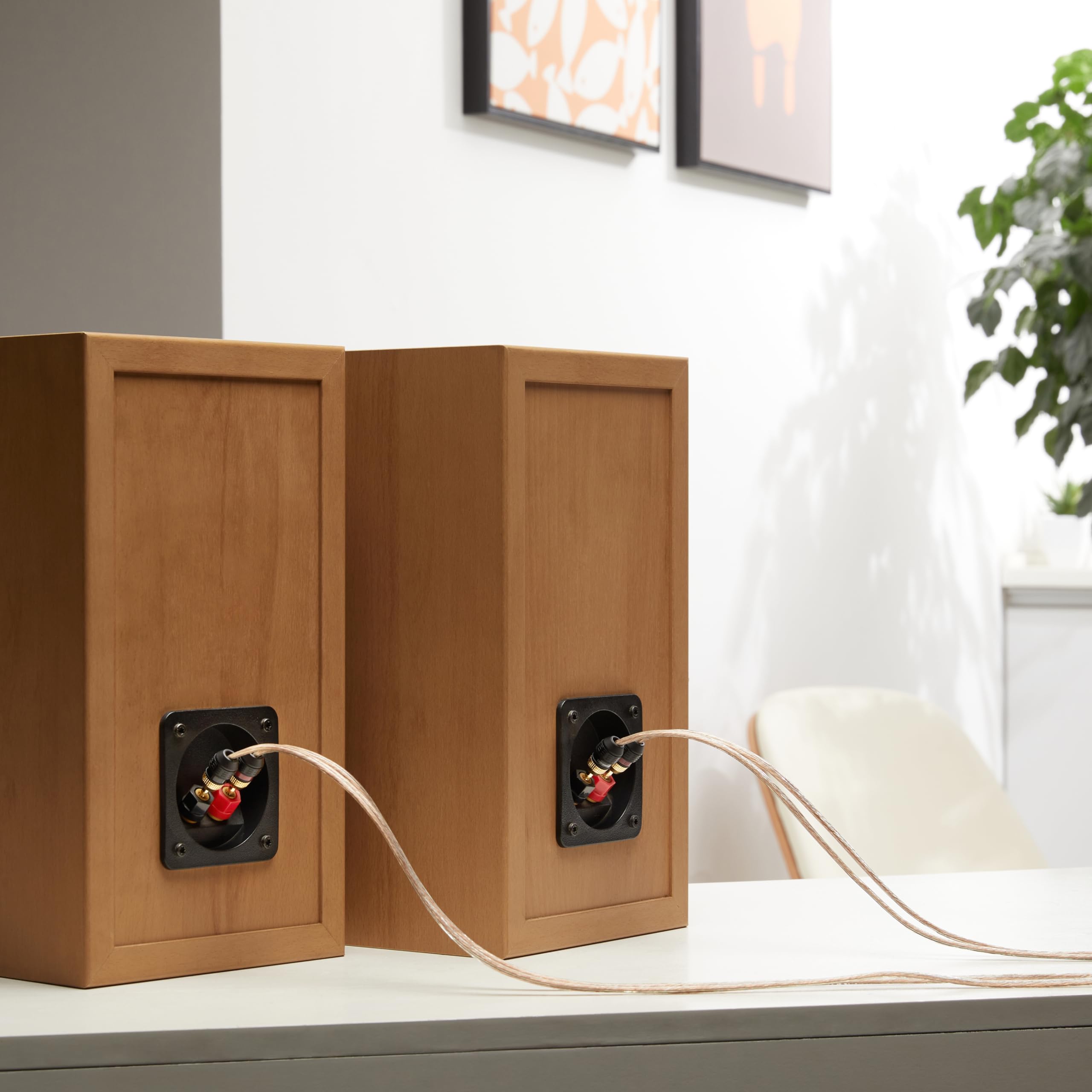 Amazon Basics Connettori a Banana 12 Pezzi 6 Paia Placcati Oro