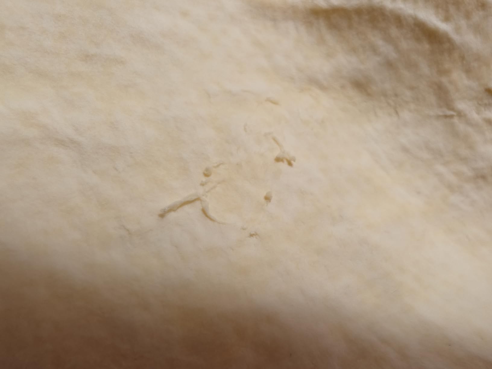 AmazonBasics Panno Pulizia Sintetico Giallo 2 Pezzi