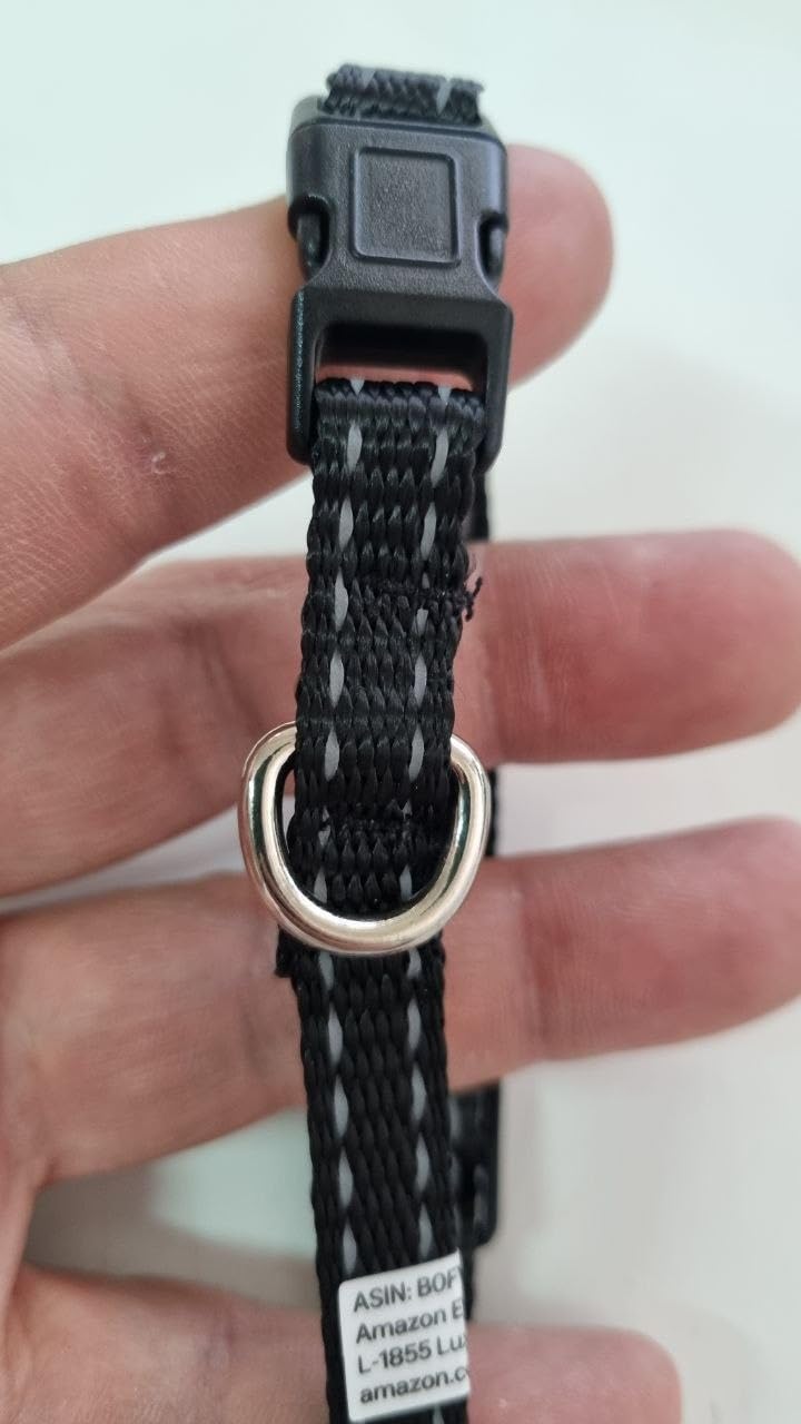 Amazon Basics cintura sicurezza cane nera taglia unica con ciotola