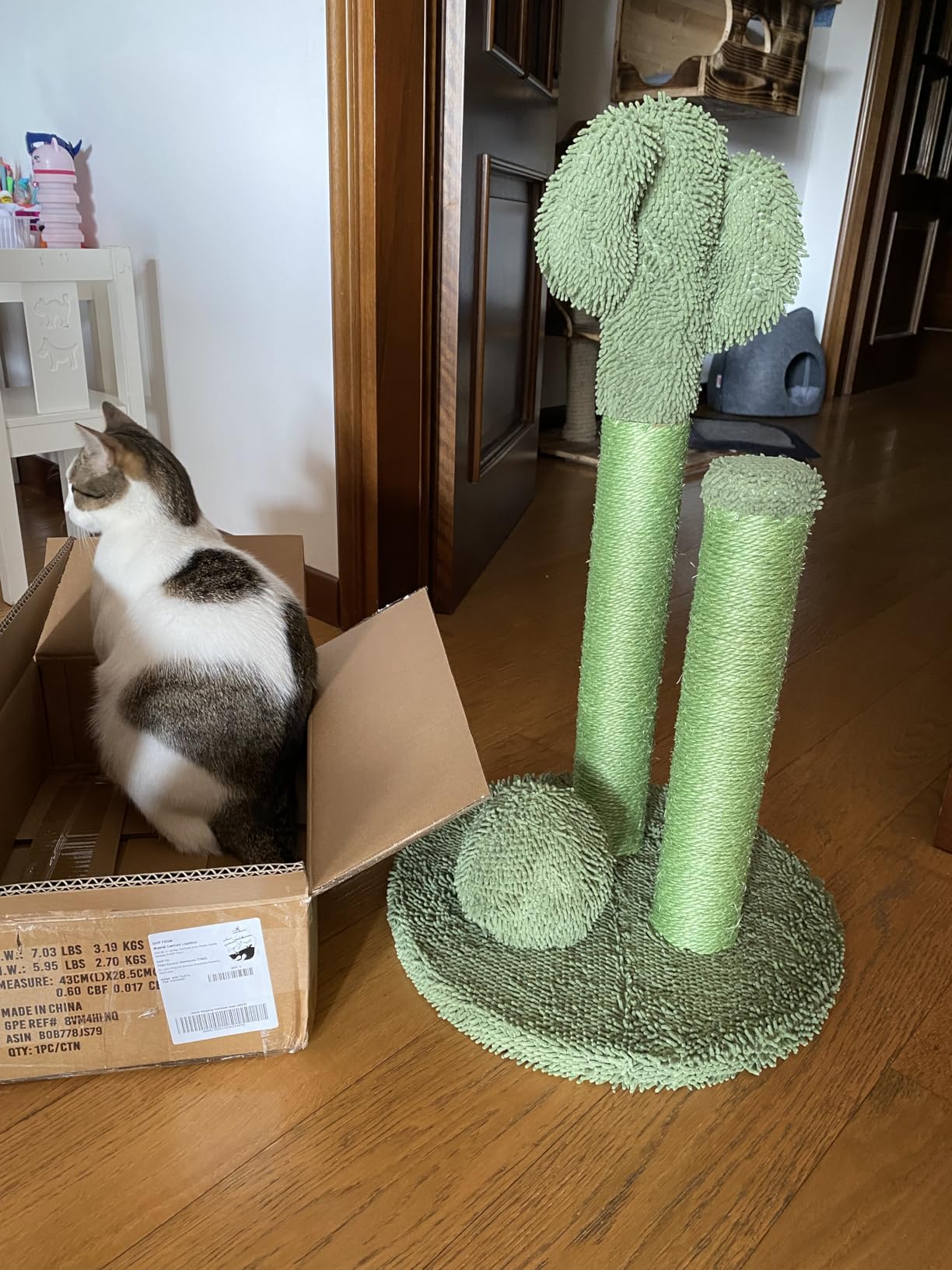 Amazon Basics Tiragraffi Cactus Grande 68 cm Verde Sisal