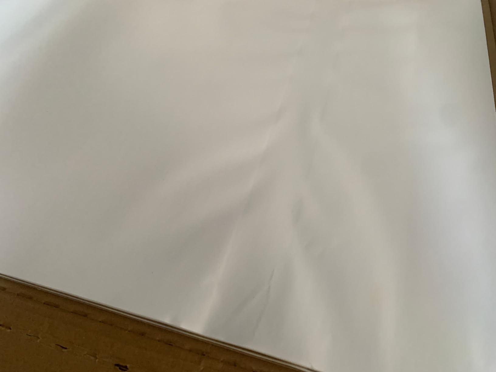 AmazonBasics Blocchi Fogli Ribaltabili 63,5x76,2 cm 2 Pezzi Bianchi